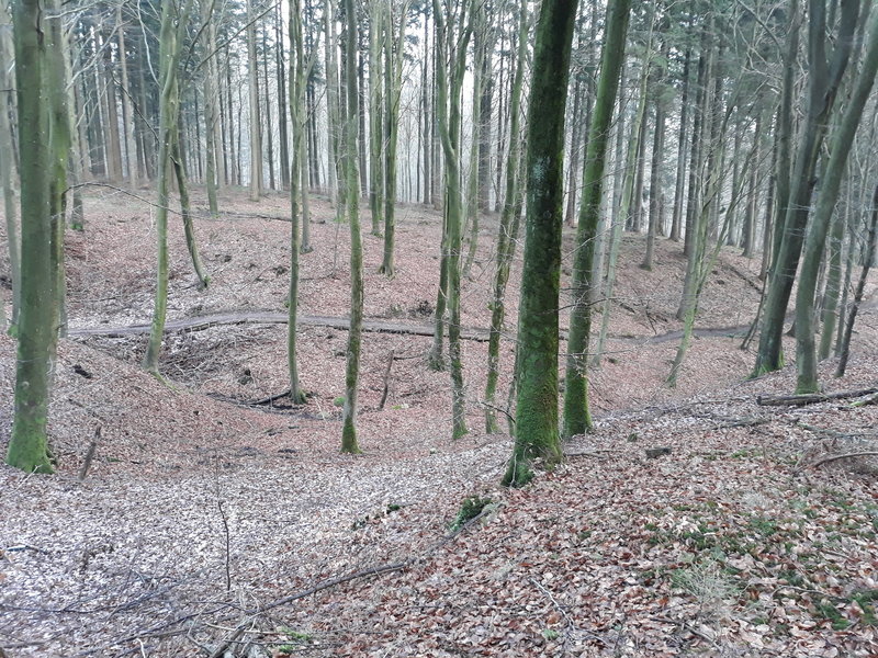 View of the mtb track in the gorge / Udsigt over mtb-sporet i Kløften