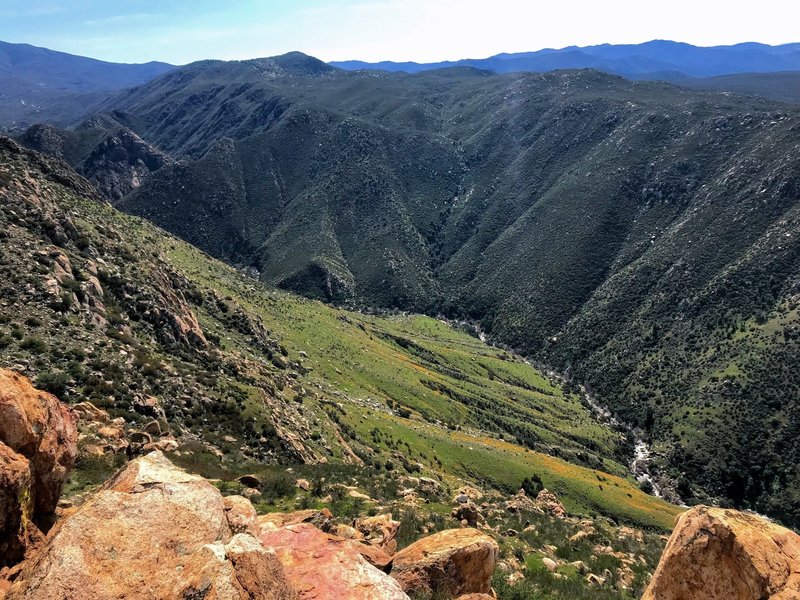 Looking up the valley