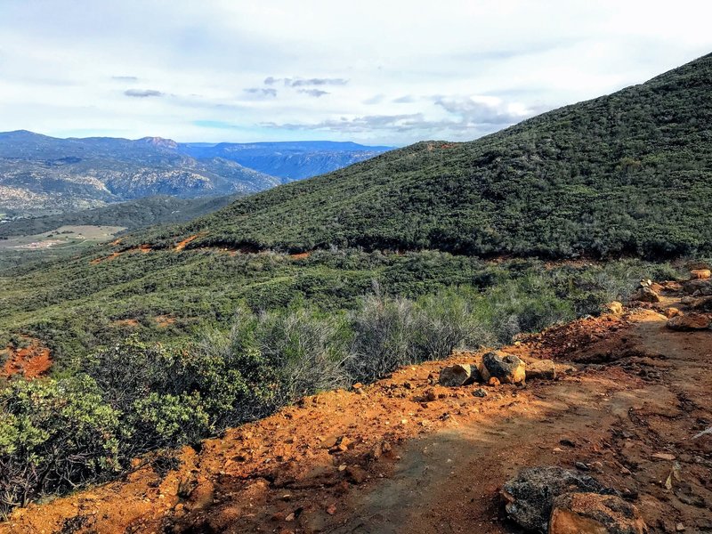 Looking down the trail