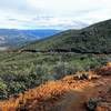 Looking down the trail