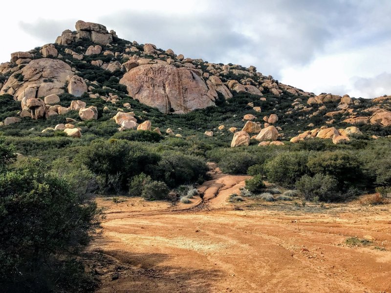 Lawson peak from the trailhead