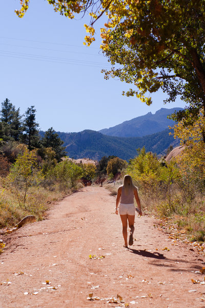 Open paths & fall colors