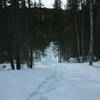 The trail to Tilt Pond beyond Colin's hut is a standard width back country ski trail.