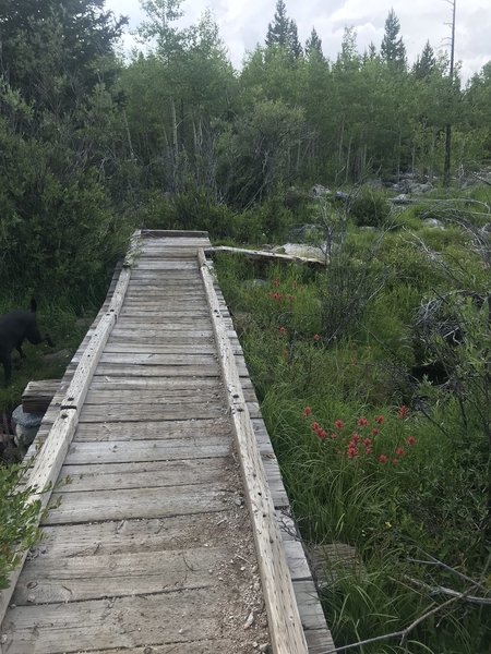 Cute bridge along the way to She Lake