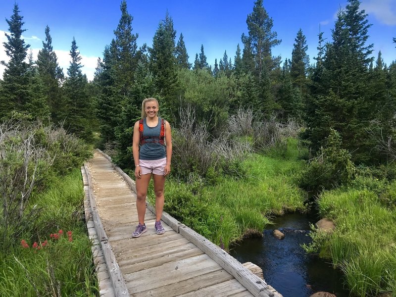 Some wildflowers and small creeks can be seen around this area!