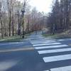 Road crossing of Black Creek Greenway