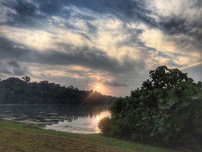 Sunrise trying to beat the humidity