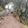 One of the more exposed sections of steep slopes below this otherwise mellow canal trail.