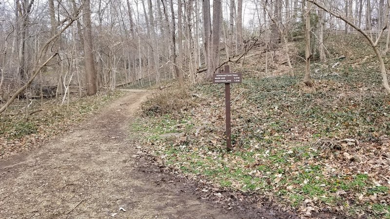 Fork off Dumbarton Oaks Path joins Normanstone Trail connecting to Massachusettes Ave