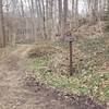 Fork off Dumbarton Oaks Path joins Normanstone Trail connecting to Massachusettes Ave