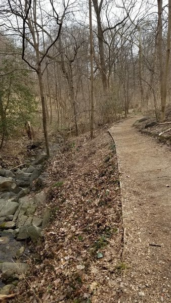 BK West of Glover-Archbold Path connector