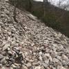 "Rock Forest" trail on Austin Ridge.