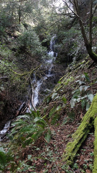 Stairstep Falls at the end of the trail.