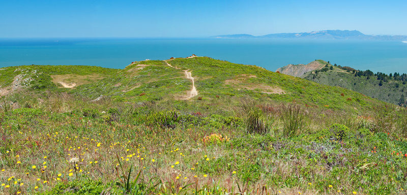 Sun, Flowers and sweeping views from along the ridge of San Pedro Mountain.