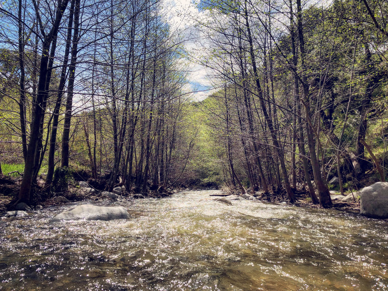 Lots of water after the rain!