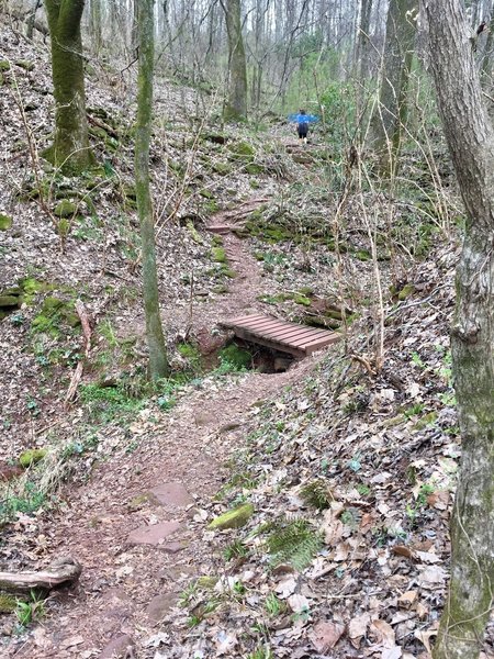 Foot bridge for creek crossings