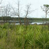 A view of Lake Manatee.