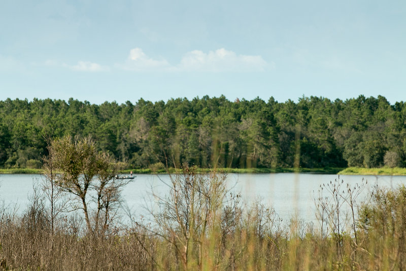 Another view of the lake.