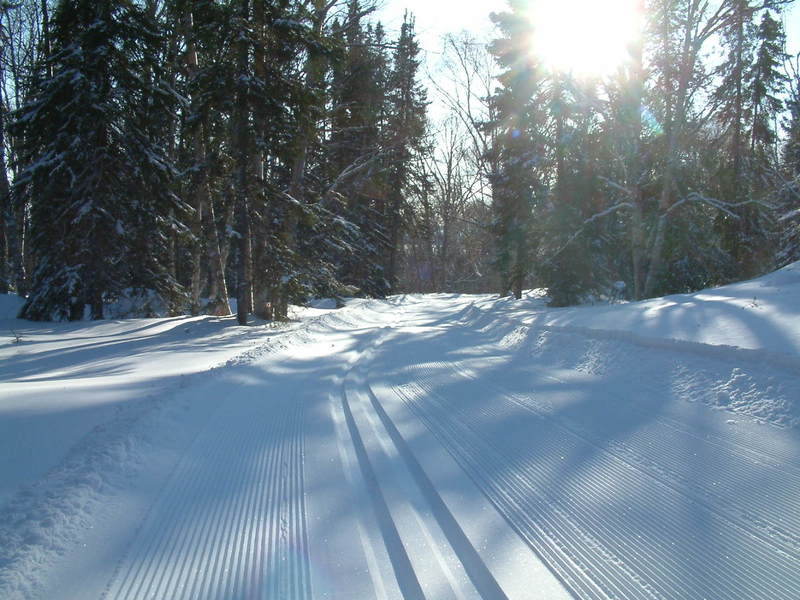 Chaulk's Run Just before Games Trail intersection with view of Gosling Lake through the trees