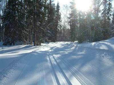 Chaulk's Run Just before Games Trail intersection with view of Gosling Lake through the trees