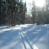 Chaulk's Run Just before Games Trail intersection with view of Gosling Lake through the trees