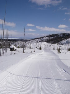 Chaulk's Run just after Lynx