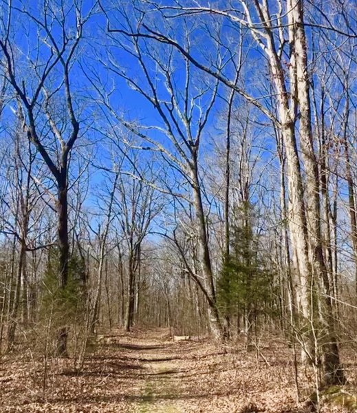 Bear Creek Loop Trail