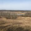 View of wetlands from Bobolink Grassland Trail Overlook