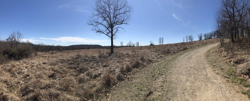 Sweeping field vistas of the legendary battlefield.