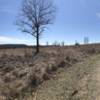 Sweeping field vistas of the legendary battlefield.