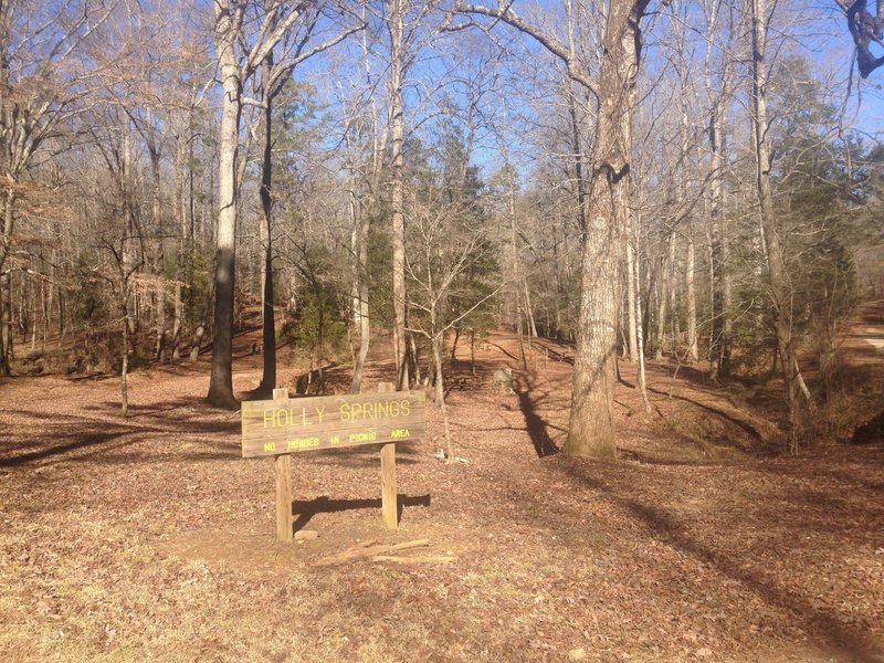 This is seen from the main road, and is parking for the Tiger Rag Loop during the summer. There is a shelter and grill.