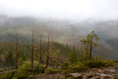 Looking down to Baldface Creek