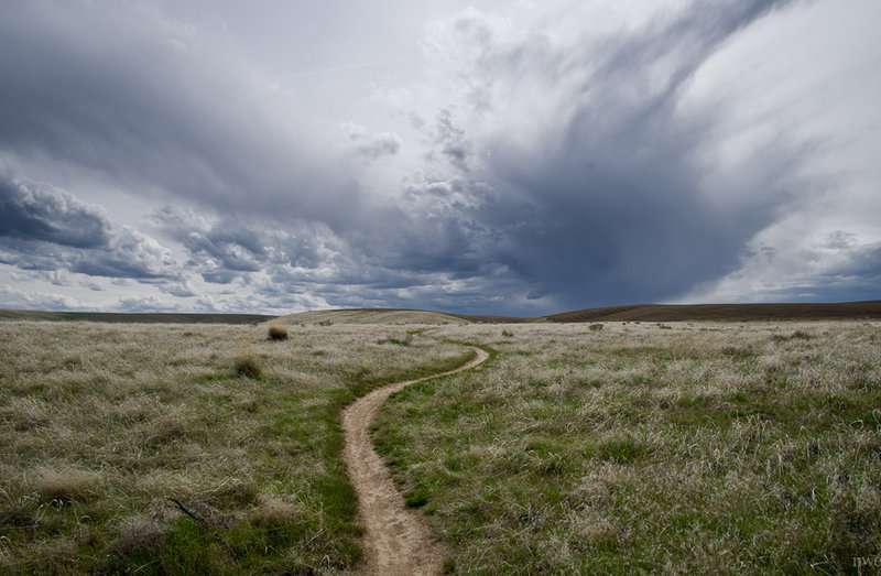 Echo singletrack.