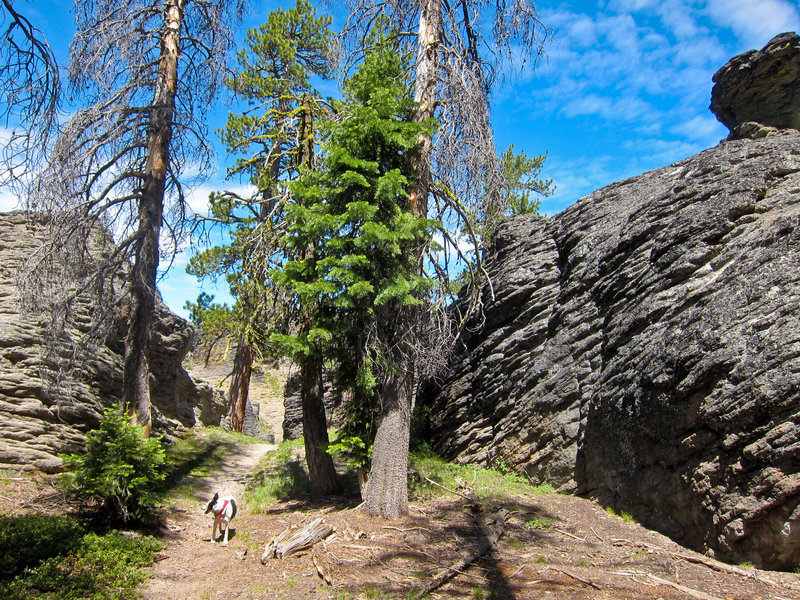 Palisades - Gearhart Wilderness, Oregon