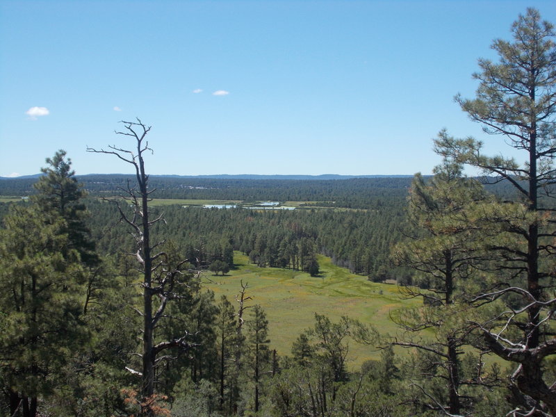 Taking in the view to the south