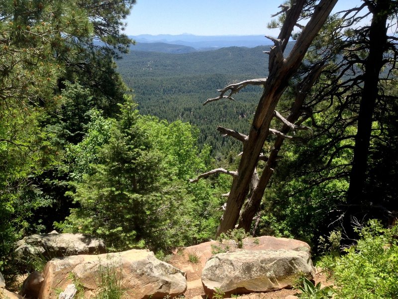 Mogollon Rim View