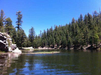 Upper Reach