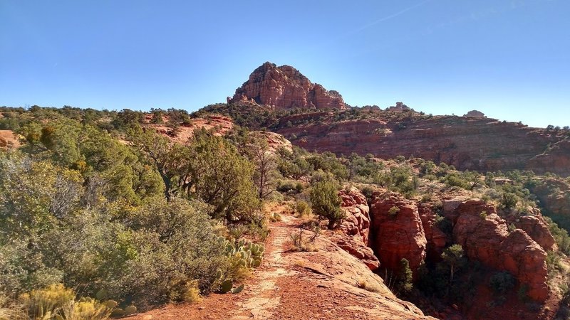 Hiline Trail view from up to peak