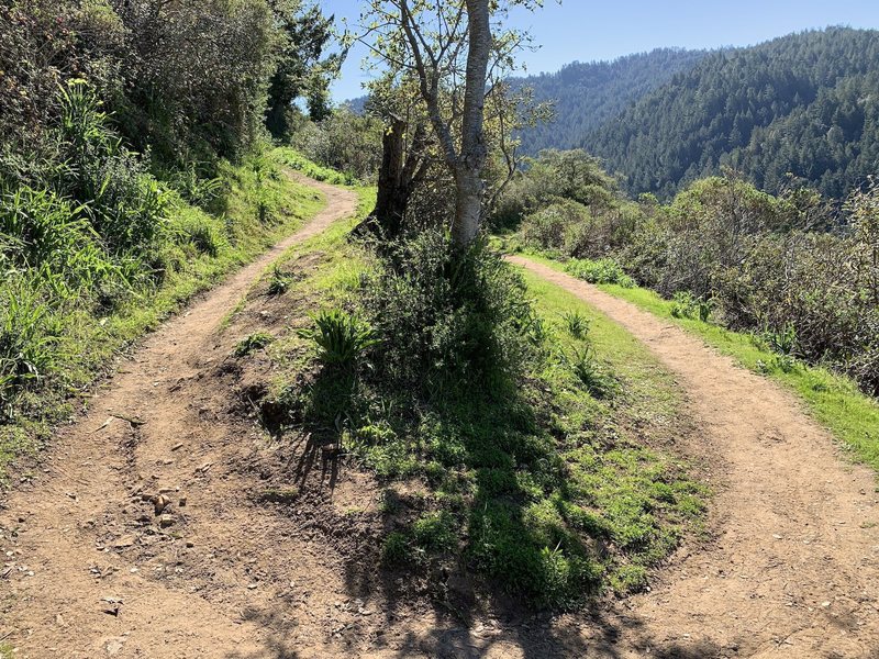 Tight switchback on the west end of the trail. Long stretches of the trail are open to the elements.