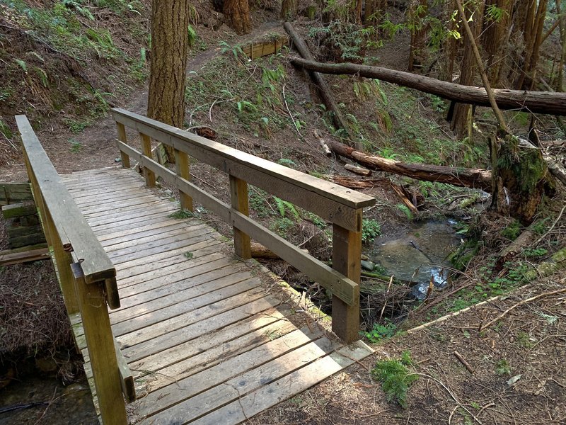 Bridges, natural and otherwise. Only one fallen tree partially blocked the trail, and was easily avoided. The rest were part of the motif.