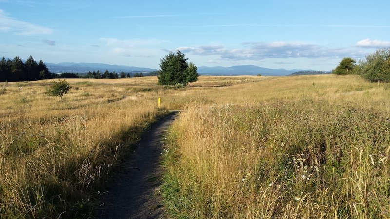 Wonderful afternoon on the top of the butte, on the Forest Edge Trail