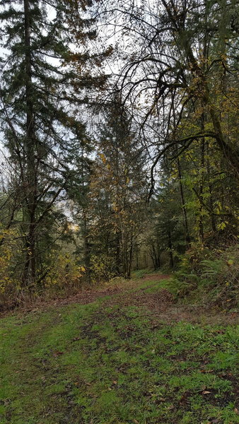 While it's hard to convey steepness in photos, there is plenty of it on BPA Road.