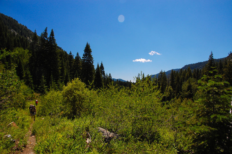 NE_Oregon_2013_059