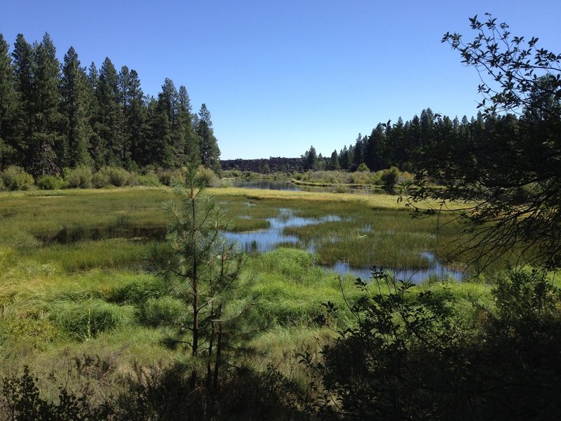 Gorgeous scenery along Deschutes River Trail