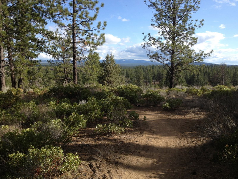 Beautiful Bend trails