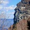 Grandfather Mountain in the midst of the early spring foliage (or lack thereof) .