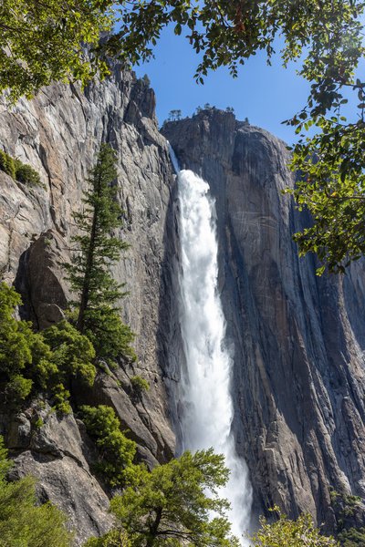 Upper Yosemite Falls through the trees on Yosemite Falls Trail.