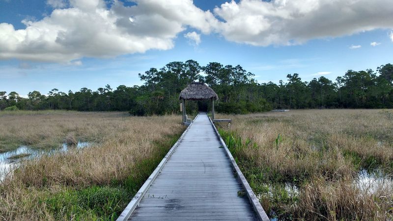 Boardwalk trail on the Butterfly Loop in the SWA Greenway system.