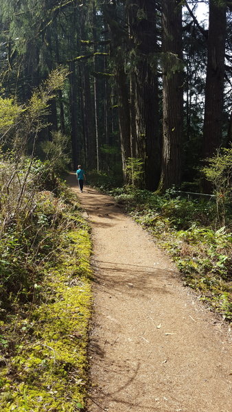 Silver Falls Hike