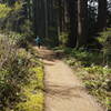 Silver Falls Hike